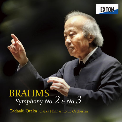 国产剧情麻豆mv
